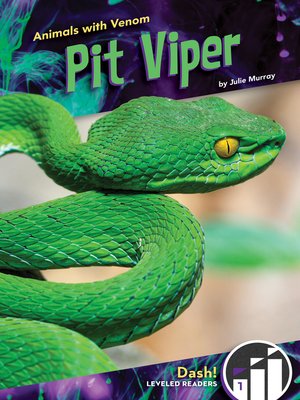 cover image of Pit Viper